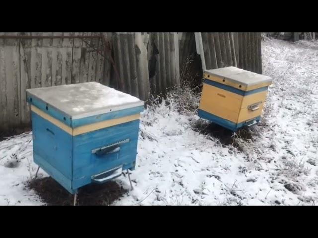 Распродажа пасеки. Улья, пчёлы, пчеловодческий инвентарь.