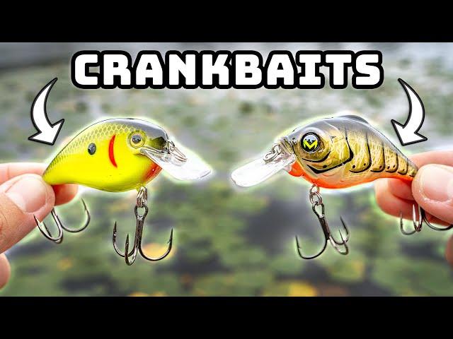 Fishing Crankbaits Is EASY With THESE TIPS! (Fall Bass Fishing)