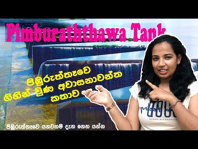 Pimburaththawa Tank | පිඹුරත්තෑව නාන්න ගිහින් වෙච්චි දේ | Vlog #043