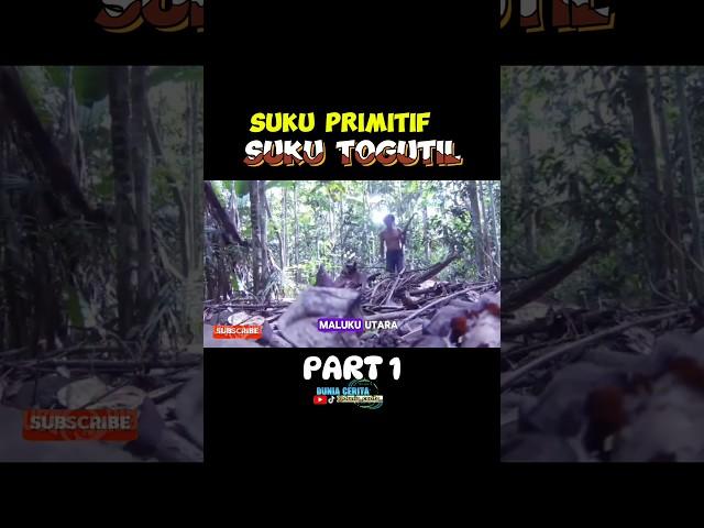 SUKU PRIMITIF DI PEDALAMANA HUTAN | SUKU TERPENCIL | SUKU TOGUTIL PART 1 #primitive #suku #pedalaman