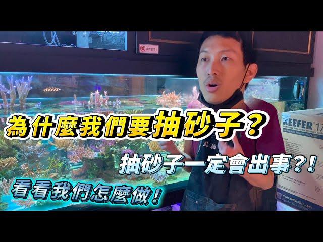 【藍箱水族】展示缸抽底砂實況！三年累積的超髒抽除底沙！