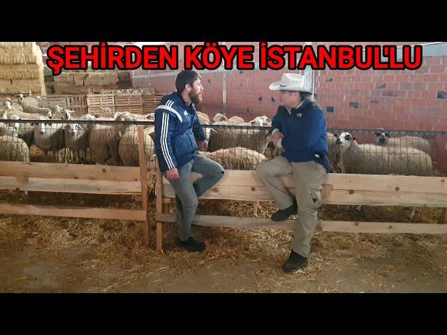 SIFIRDAN BAŞLADI HAYRAN KALDIM | BAŞARILI OLMANIN SIRLARI | ŞEHİRDEN KÖYE GÖÇ