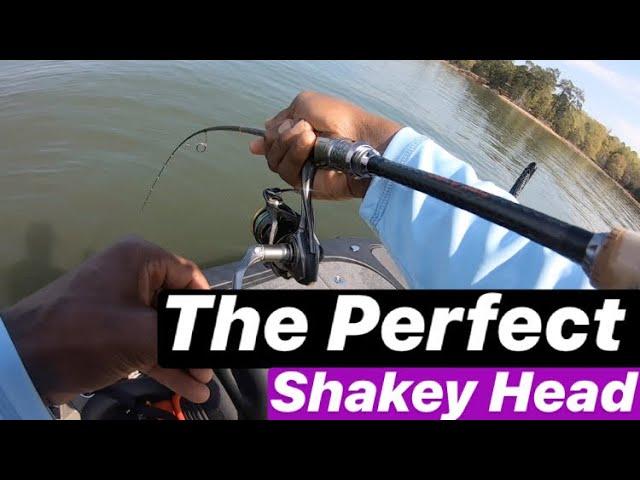 The Perfect Shakey Head Combo