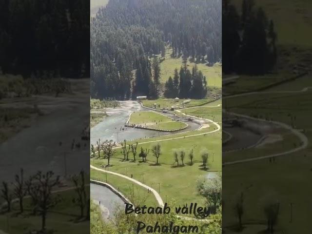 betaab valley pahalgam || youtube shorts #virals #pahalgamtourism #betaabvalley #beautifulplace