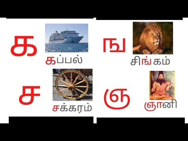 தமிழ் உயிர் மெய் எழுத்துக்கள் க ங ச ஞ ட ண த ந ப ம ய ர ல வ ழ ள ற ன| Tamil uyirmei Eluthukkal for kids