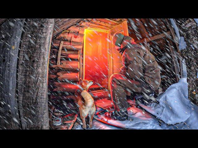 THIS FIND IN THE FOREST CHANGED ALL OUR PLANS! OLD ABANDONED | HUT WOLVES | NEAR OVERNIGHT IN TAIGA