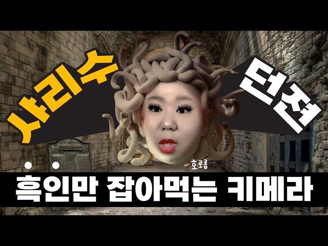 매일매일 집에 흑횽들이 찾아왔던 문란루즈 그 시절