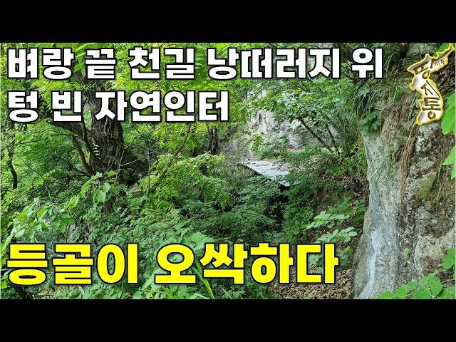 임장하다가 발견한 천길 낭떠러지 위 샘물 쏟아지는 국유림 속~텅빈 자연인터[땅지통]