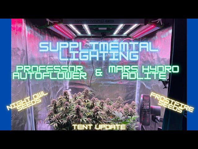 Supplemental Lighting, Professor Autoflower & Mars Hydro Adlite, Night Owl & Frostfire under FC-3000