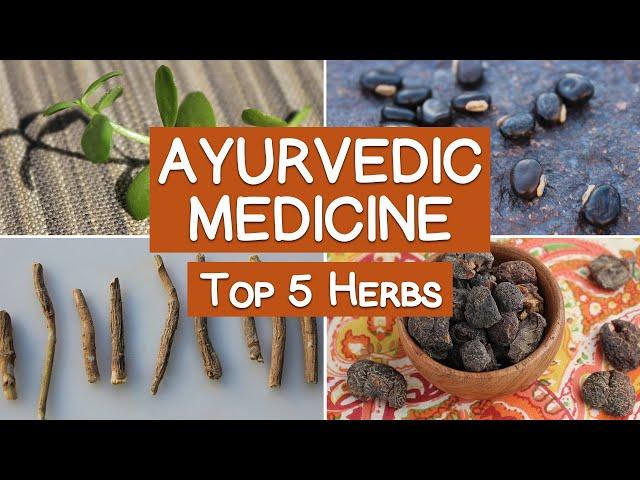 Ayurvedic Medicine and the Top 5 Herbs of Ayurveda