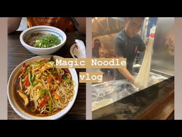 Magic Noodle | Katrina Lee VLOG #1