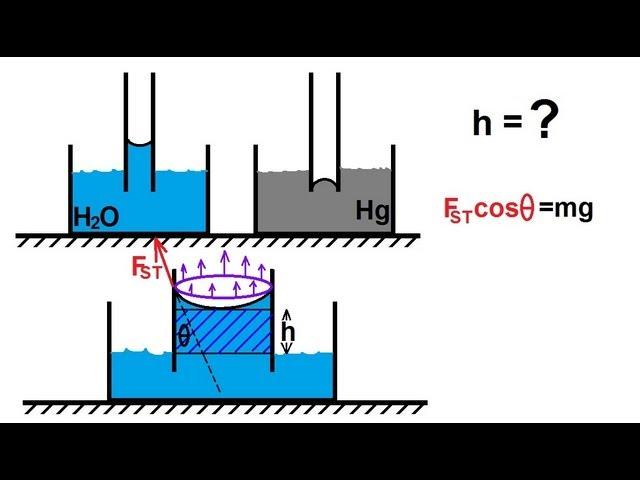 Physics 33.1  Surface Tension (5 of 12): What Causes Capillary Action?