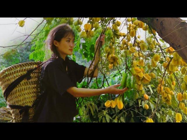 Pick star fruit and bring it home to brew. How to process and preserve fruit for a long time