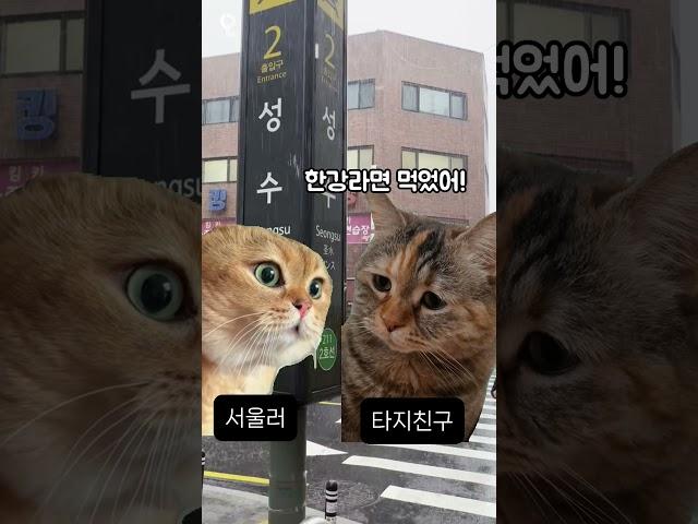 서울 놀러간다면 꼭 봐야할 영상 #서울 #서울여행