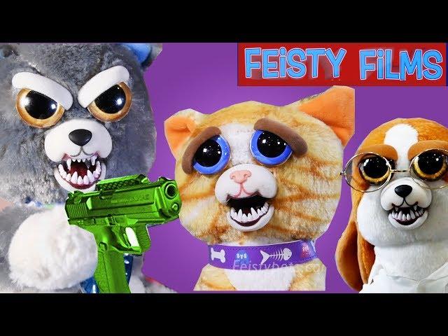 Feisty Cats vs. Dogs Compilation! Who Is Feistier?