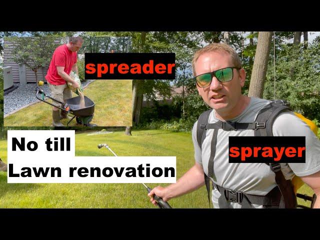 No Till Lawn Renovation - How to Change Your Grass Species