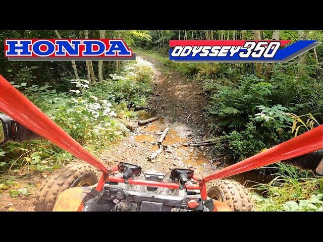 Honda Odyssey FL350 | 350 2 Stroke Go Kart!