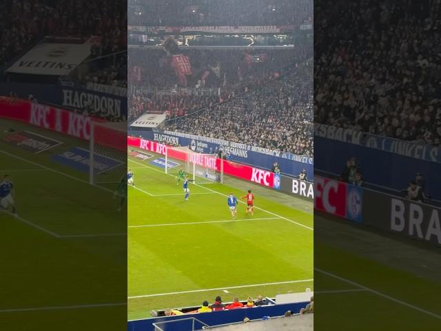 FC Schalke 04 - 1. FC Kaiserslautern  2. Bundesliga 2024/2025