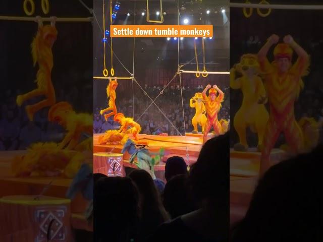 Tumble Monkeys annoying Timon in Lion King Live at Disney’s Animal Kingdom #disney #lionking #timon