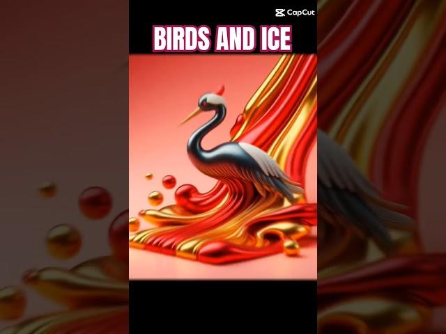 ️Day 58 of 2025: BIRDS AND ICE. #birds #bird #birdspecies #angrybirds