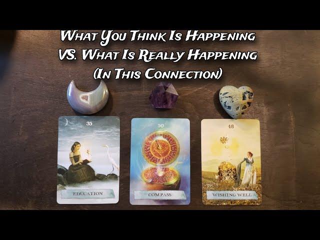  What You Think Is Happening In This Connection VS. What Is Really Happening  Pick A Card Reading