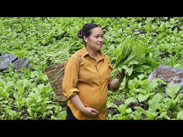 Harvest Green Vegetables Goes To Market Sell - Cooking - Garden / Ly Thi Ca