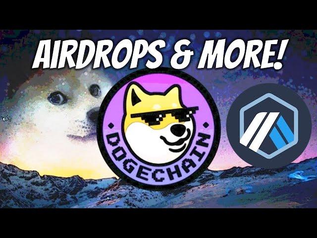 Called Dogechain Token Pump! Potential Arbitrum Airdrop Opportunity!