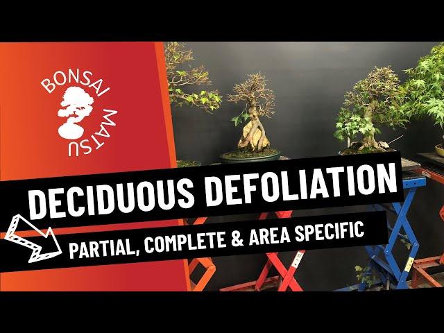 Deciduous Defoliation - Partial, Complete and Area Specific