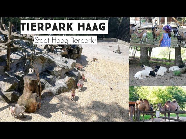 Tierpark Haag (Stadt Haag Tierpark)