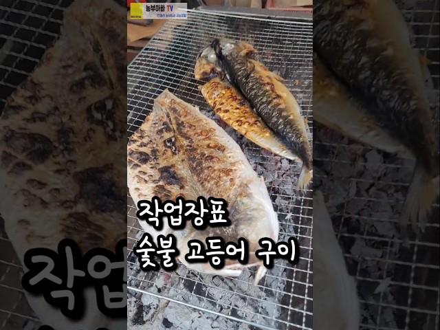 작업장에서 굽는 숯불 생선구이 #숯불구이