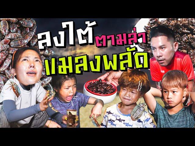 หา“แมลงพลัด” แบบกระหน่ำ ของกินประจำฤดูของชาวใต้ !!  | กุมารTravel EP.283