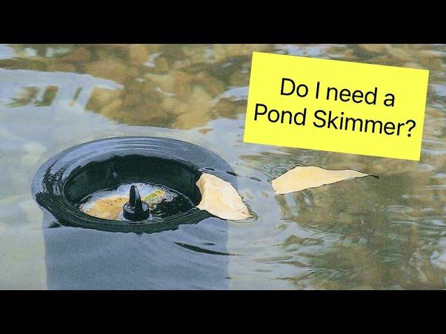 Pond Skimmer What? Why? How? OASE Aquaskim | Aqua Max Eco Premium Pump