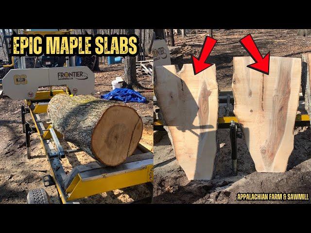 Turning a Stunning Red Maple Crotch into Live Edge Slabs | Sawmilling for Profit