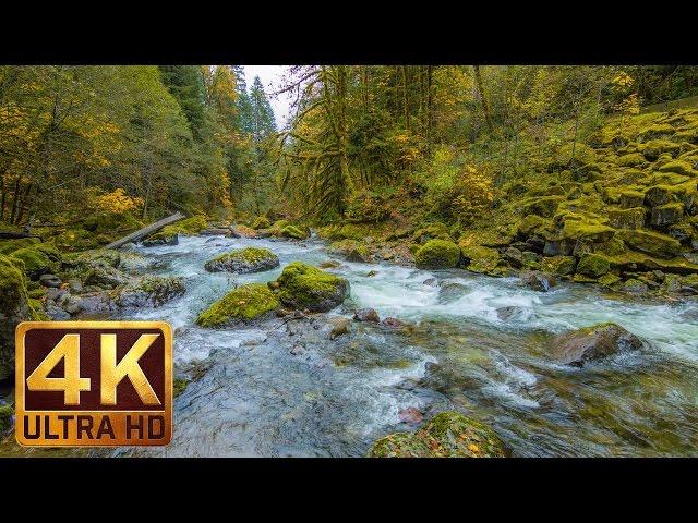 Beautiful Nature Video in 4K (Ultra HD) - Autumn River Sounds - 5 Hours Long