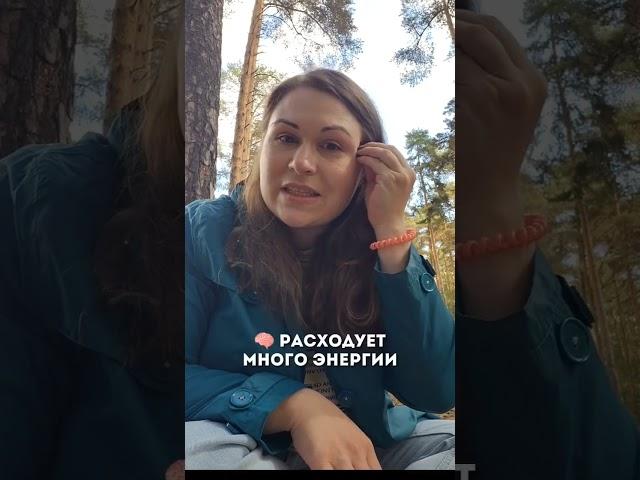 Почему мы устаем?