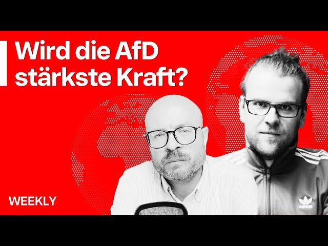 Rechte auf dem Vormarsch | Jacobin Weekly mit Sebastian Friedrich