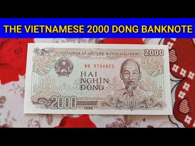 Vietnam 2000 Dong Banknote - Currency Universe Shorts