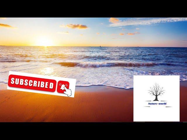 Nature world-عالم الطبيعة   The world of nature    le monde de la nature