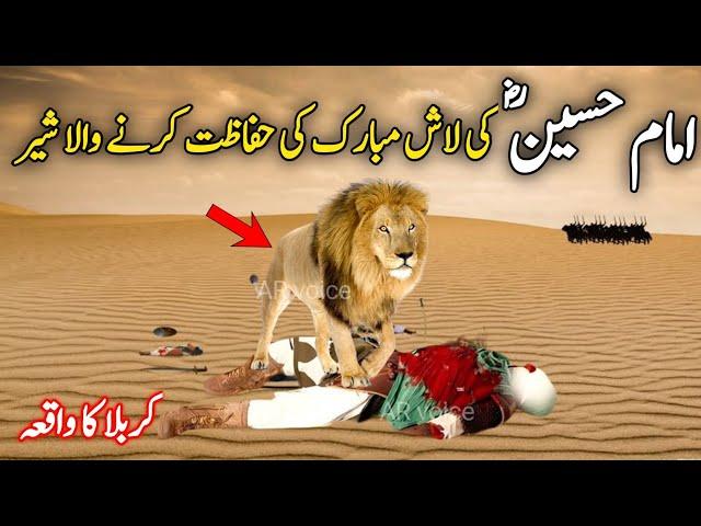 Imam Hussain aur sher ka waqia | Imam Hussain Ki Shahadat Ka waqiya | Abul Haris sher ka waqia