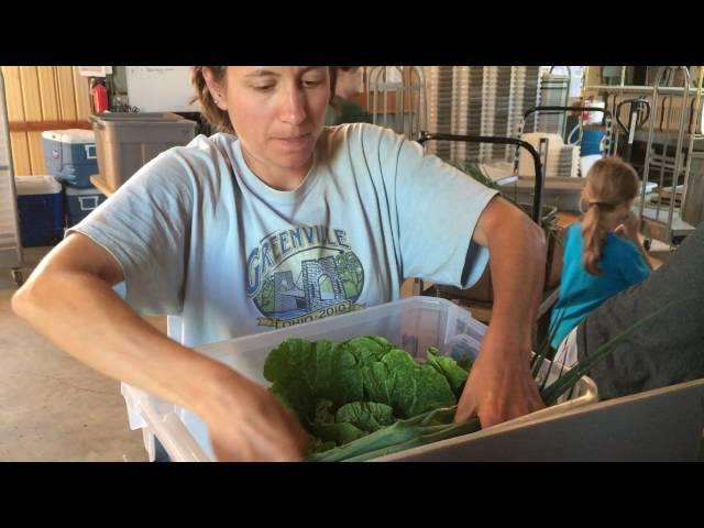 How We Pack Your Box: An Inside Peek of the CSA Assembly Line