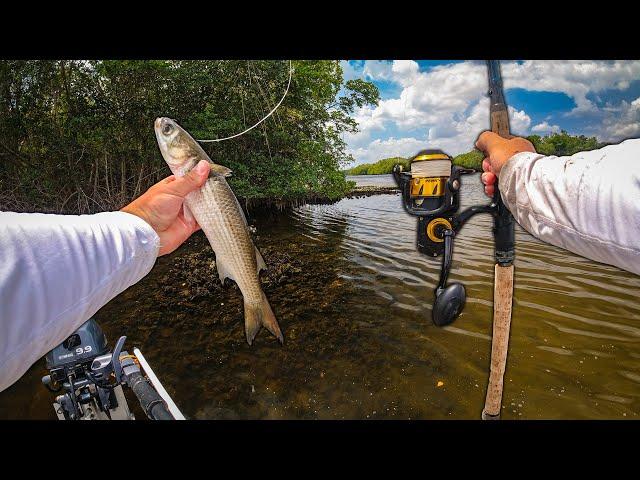 Getting Redemption on Giant Backwater Snook and Tarpon!