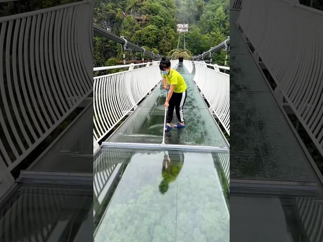 glass bridge cleaners