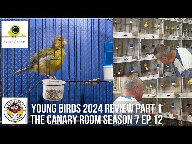 The Canary Room Season 7 Episode 12 - Reviewing the young birds bred in 2024 part 1