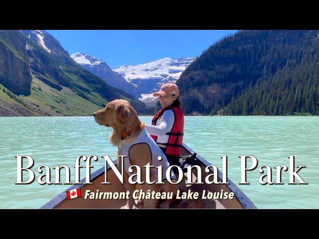  My DOG travels to a WORLD WONDER BANFF National Park | Fairmont Lake Louise | Moraine Lake