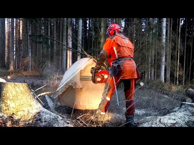 HUSQVARNA 560 XP! The best chainsaw in the world! HUSQVARNA 560XP!