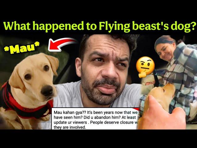 What happened to Flying beast's dog: Gaurav taneja के dog mau को क्या हुआ? #flyingbeast