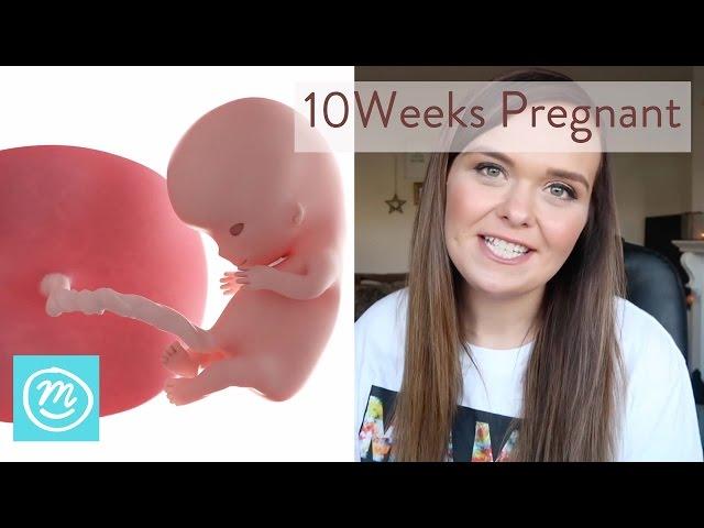 10 Weeks Pregnant: What You Need To Know -  Channel Mum