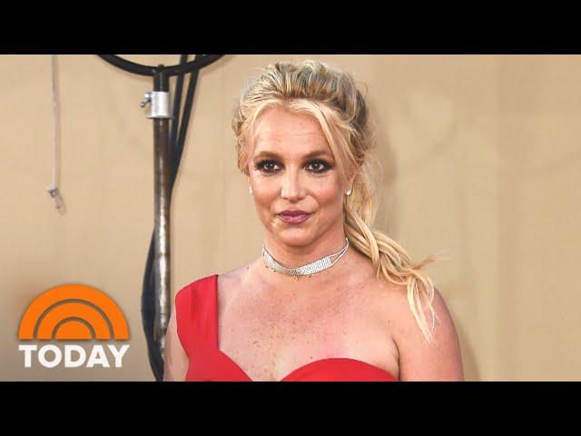 Britney Spears Shares Message With Fans After Conservatorship Hearing