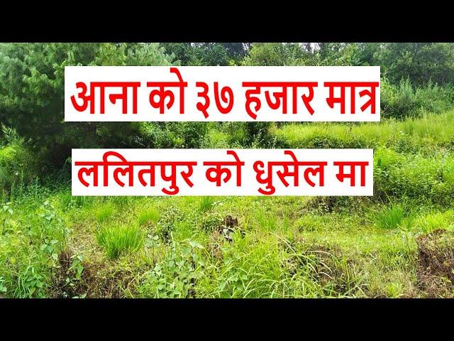 Land for sale in dhusel lalitpur nepal | real estate nepal | sasto jagga | sales nepal | ropani