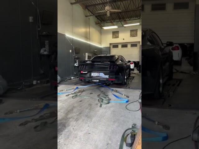 PAXTON MUSTANG HITS THE DYNO #shorts #mustang